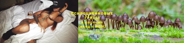 мяу мяу мука Богданович