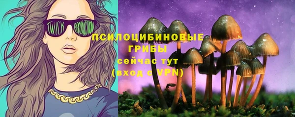 круглые Богородицк