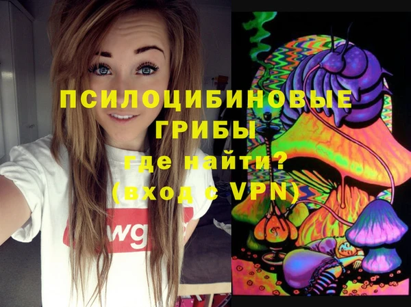 MDMA Богородск
